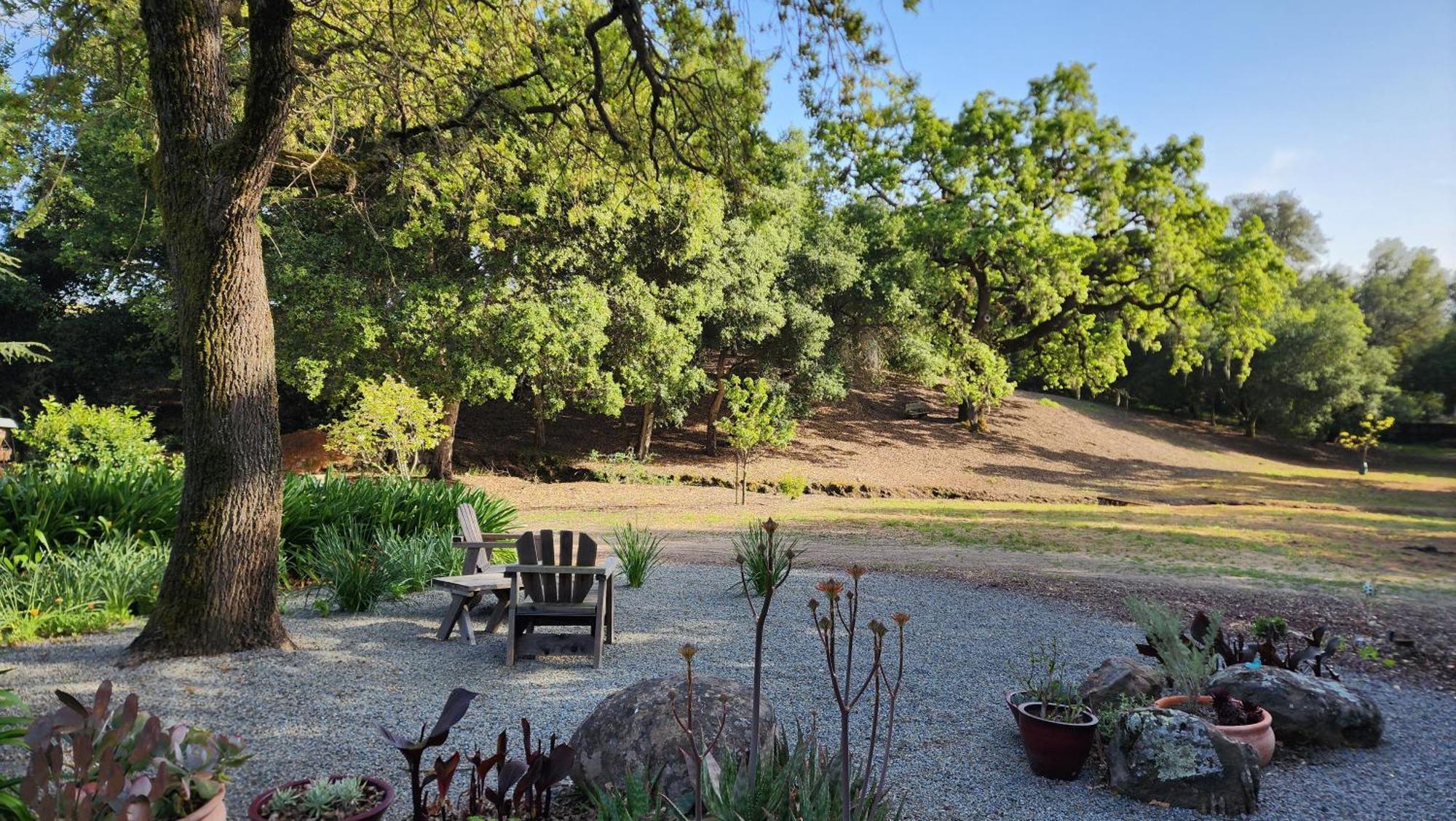 Amitabha Wine Country Cottage Santa Rosa Eksteriør billede